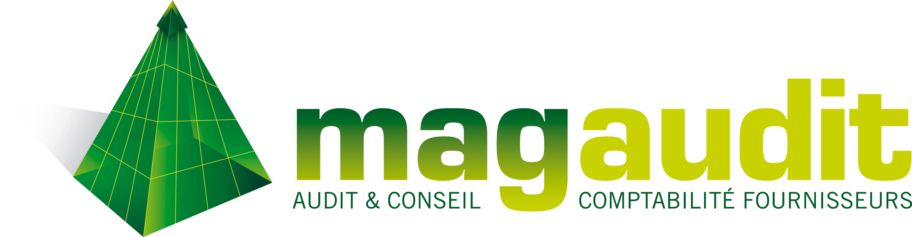 mag-audit-full-HD_SVG