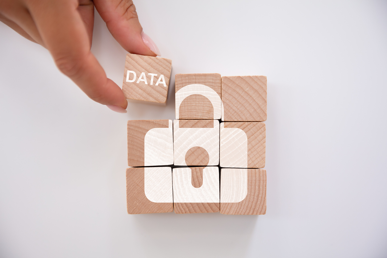 Person Holding Data Block New Lock Icon